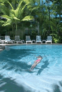 The Lookout Noosa Resort - Coogee Beach Accommodation 7