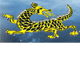 Dragon Phoenix Motel amp Restuarant - Coogee Beach Accommodation