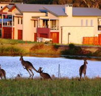 Grand Mercure The Vintage Hunter Valley - Coogee Beach Accommodation