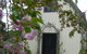 Silverleaf Cottage - thumb 0