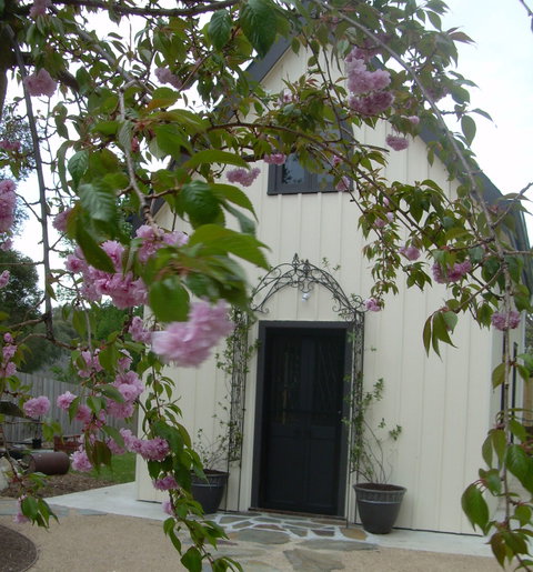 Silverleaf Cottage - Coogee Beach Accommodation 0