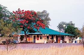 Wauchope Hotel And Roadhouse - Coogee Beach Accommodation 0