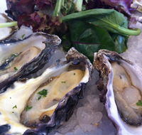 Duke of Wellington Hotel - Coogee Beach Accommodation