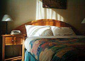 Nagomi Apartment Hotel - Coogee Beach Accommodation 0