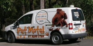 Beenleigh Pet Motel - Coogee Beach Accommodation 1