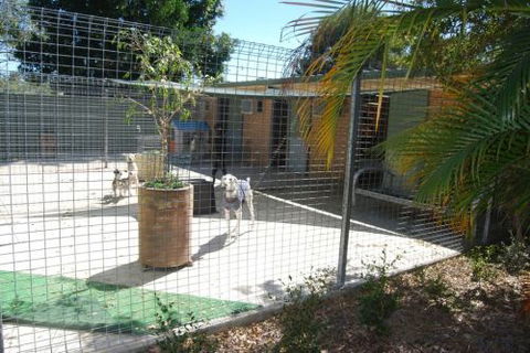 Beenleigh Pet Motel - Coogee Beach Accommodation 4