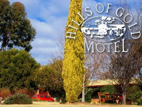 Hills Of Gold Motel - Coogee Beach Accommodation 3