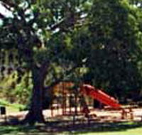 Park Lane Motel - Coogee Beach Accommodation