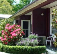 Elm Lodge Bright - Coogee Beach Accommodation