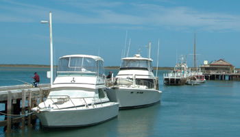 Angler's Arms And Fisherman's Cottage - Coogee Beach Accommodation 5