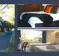 The Albany - Coogee Beach Accommodation