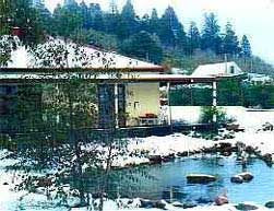 The Station House Daylesford - Coogee Beach Accommodation 0