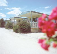 Eldorado Tourist Park - Coogee Beach Accommodation