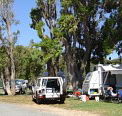 Elliston Caravan Park - Coogee Beach Accommodation