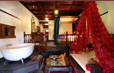 Casuarina Country Inn - Coogee Beach Accommodation 3