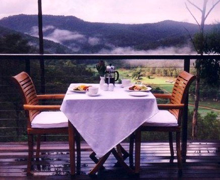 Wild Edge Retreat - Coogee Beach Accommodation 0