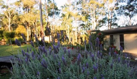 Wild Edge Retreat - Coogee Beach Accommodation 2
