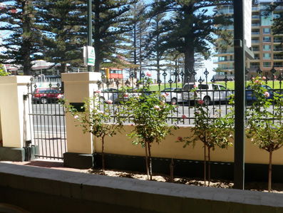 Grandview House Apartments - Coogee Beach Accommodation 5
