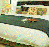 Sea Temple Resort  Spa - Coogee Beach Accommodation