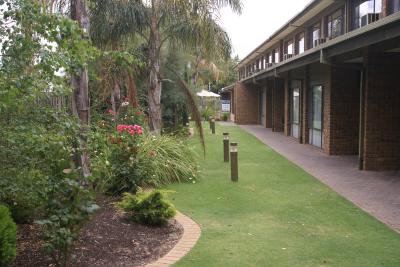 Marion Motel And Apartments - Coogee Beach Accommodation 0