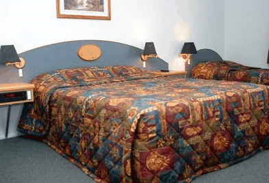 Oscar Motel - Coogee Beach Accommodation 1