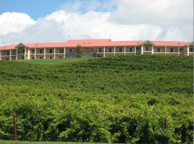 Turners Vineyard - Coogee Beach Accommodation 4