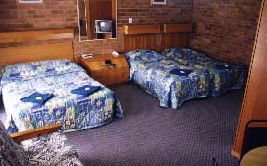 Border Motel - Coogee Beach Accommodation 0