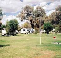 Morgan Riverside Caravan Park - Coogee Beach Accommodation