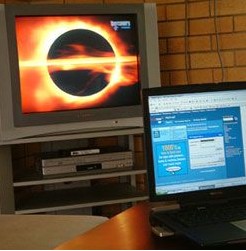 Calypso Apartments - Coogee Beach Accommodation 3