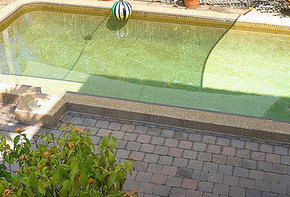 Clifton Sands Apartments - Coogee Beach Accommodation 1
