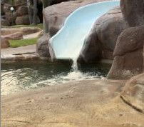 Quality Resort Siesta Resort - Coogee Beach Accommodation 2