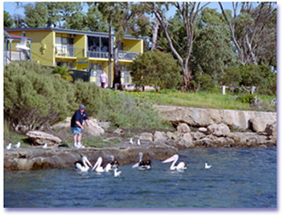 Almonta Holiday Apartments - Coogee Beach Accommodation 0