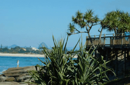 Pandanus Shores - Coogee Beach Accommodation 5