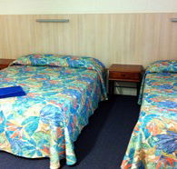 Mango Tree Motel - Coogee Beach Accommodation