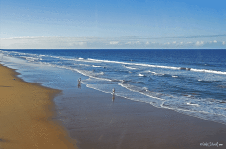 The Edge On Beaches - Coogee Beach Accommodation 2
