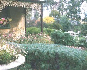 Inala Country Retreat - Coogee Beach Accommodation 2
