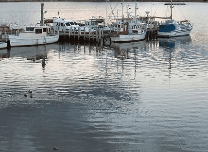 Hobart Apartments - Coogee Beach Accommodation 1
