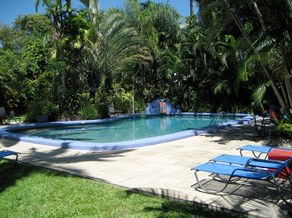 Pink Flamingo Resort - Coogee Beach Accommodation 0