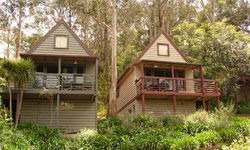 Great Ocean Road Cottages - Coogee Beach Accommodation 1