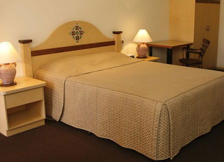 Villa Mirasol Boutique Motel - Coogee Beach Accommodation 3