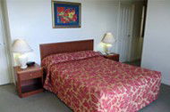 Springwood Tower - Coogee Beach Accommodation 2