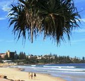 Mariners Caloundra - Coogee Beach Accommodation