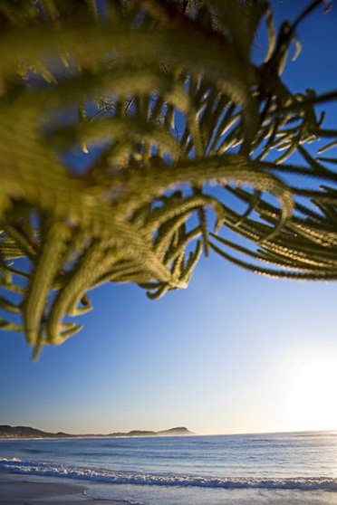 Terrigal Sails Serviced Apartments - Coogee Beach Accommodation 5