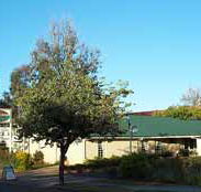 Riverland Motor Inn - Coogee Beach Accommodation