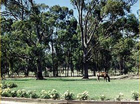 Saratoga Lodge - Coogee Beach Accommodation 0