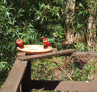 Tree Tops - Coogee Beach Accommodation