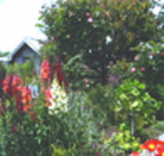 Hopfield Country Cottages - Coogee Beach Accommodation