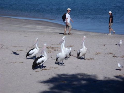 Kalbarri Accommodation Service - Coogee Beach Accommodation 5