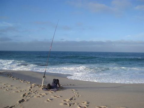 Kalbarri Accommodation Service - Coogee Beach Accommodation 7