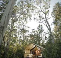 Paperbark Camp - Coogee Beach Accommodation